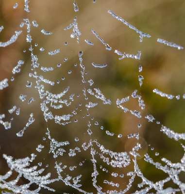 <i class='fa fa-user'></i>&nbsp;Eef Kieft&nbsp;|  Parelsnoer&nbsp; <i class='fa fa-eye'>&nbsp;58</i> &nbsp; <i class='fa fa-comment-o'>&nbsp;2</i>