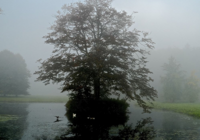 <i class='fa fa-user'></i>&nbsp;hesterb&nbsp;|  Beuk&nbsp; <i class='fa fa-eye'>&nbsp;76</i> &nbsp; <i class='fa fa-comment-o'>&nbsp;0</i>