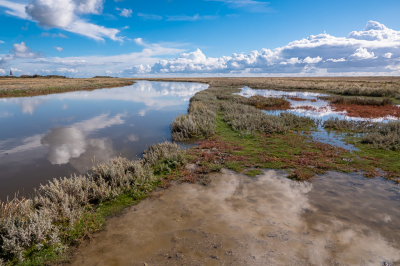 <i class='fa fa-user'></i>&nbsp;David&nbsp;|  Kwelder&nbsp; <i class='fa fa-eye'>&nbsp;100</i> &nbsp;<i class='fa fa-thumbs-up'>&nbsp;11</i> &nbsp; <i class='fa fa-comment-o'>&nbsp;9</i>