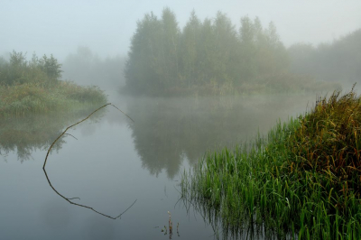 <i class='fa fa-user'></i>&nbsp;mauritskoenen48&nbsp;|  Boeidaal in de nevel. Amersfoort&nbsp; <i class='fa fa-eye'>&nbsp;71</i> &nbsp; <i class='fa fa-comment-o'>&nbsp;4</i>