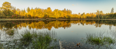 <i class='fa fa-user'></i>&nbsp;wimwes&nbsp;|  Ven in herfstooi&nbsp; <i class='fa fa-eye'>&nbsp;74</i> &nbsp; <i class='fa fa-comment-o'>&nbsp;4</i>