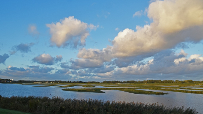 <i class='fa fa-user'></i>&nbsp;kooyammers&nbsp;|  Eendragtspolder&nbsp; <i class='fa fa-eye'>&nbsp;67</i> &nbsp;<i class='fa fa-thumbs-up'>&nbsp;2</i> &nbsp; <i class='fa fa-comment-o'>&nbsp;4</i>