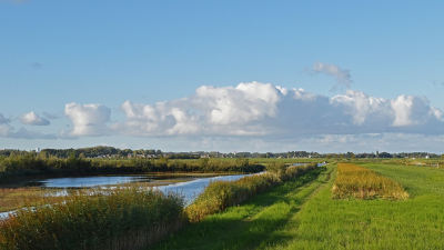 <i class='fa fa-user'></i>&nbsp;kooyammers&nbsp;|  Eendragtspolder II&nbsp; <i class='fa fa-eye'>&nbsp;55</i> &nbsp;<i class='fa fa-thumbs-up'>&nbsp;2</i> &nbsp; <i class='fa fa-comment-o'>&nbsp;2</i>