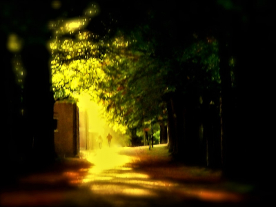 <i class='fa fa-user'></i>&nbsp;hesterb&nbsp;|  Geel herfstlicht&nbsp; <i class='fa fa-eye'>&nbsp;63</i> &nbsp; <i class='fa fa-comment-o'>&nbsp;10</i>