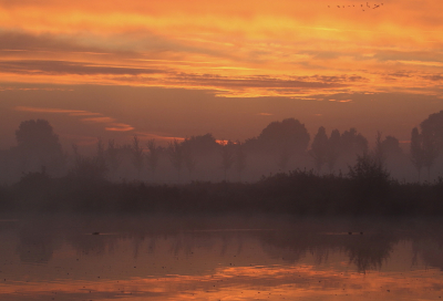 <i class='fa fa-user'></i>&nbsp;rixte&nbsp;|  Zonsopgang&nbsp; <i class='fa fa-eye'>&nbsp;79</i> &nbsp;<i class='fa fa-thumbs-up'>&nbsp;5</i> &nbsp; <i class='fa fa-comment-o'>&nbsp;7</i>