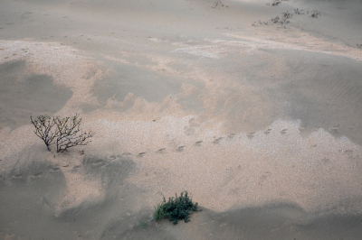 <i class='fa fa-user'></i>&nbsp;Eef Kieft&nbsp;|  Bruid van Haarlem&nbsp; <i class='fa fa-eye'>&nbsp;109</i> &nbsp; <i class='fa fa-comment-o'>&nbsp;5</i>