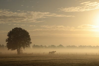 <i class='fa fa-user'></i>&nbsp;frbeuming&nbsp;|  Een goede morgen&nbsp; <i class='fa fa-eye'>&nbsp;61</i> &nbsp;<i class='fa fa-thumbs-up'>&nbsp;2</i> &nbsp; <i class='fa fa-comment-o'>&nbsp;5</i>