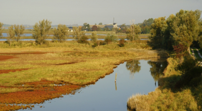 <i class='fa fa-user'></i>&nbsp;B.M.Schouten-Ruis&nbsp;|  Plan Tureluur&nbsp; <i class='fa fa-eye'>&nbsp;86</i> &nbsp;<i class='fa fa-thumbs-up'>&nbsp;4</i> &nbsp; <i class='fa fa-comment-o'>&nbsp;5</i>