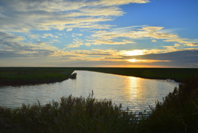 <i class='fa fa-user'></i>&nbsp;B.M.Schouten-Ruis&nbsp;|  Landschap De Moer&nbsp; <i class='fa fa-eye'>&nbsp;65</i> &nbsp; <i class='fa fa-comment-o'>&nbsp;2</i>