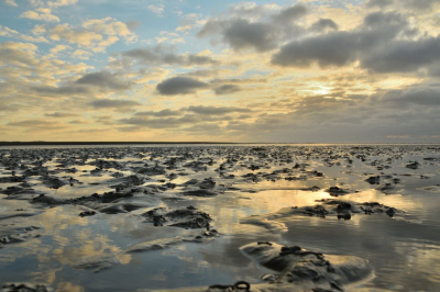 <i class='fa fa-user'></i>&nbsp;mauritskoenen48&nbsp;|  Opgaande zon op het wad bij Formerum&nbsp; <i class='fa fa-eye'>&nbsp;87</i> &nbsp;<i class='fa fa-thumbs-up'>&nbsp;2</i> &nbsp; <i class='fa fa-comment-o'>&nbsp;6</i>