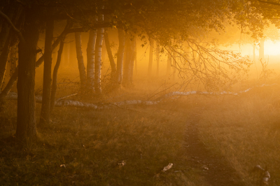 <i class='fa fa-user'></i>&nbsp;David&nbsp;|  Zonlicht tussen de bomen&nbsp; <i class='fa fa-eye'>&nbsp;96</i> &nbsp;<i class='fa fa-thumbs-up'>&nbsp;8</i> &nbsp; <i class='fa fa-comment-o'>&nbsp;7</i>