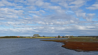 <i class='fa fa-user'></i>&nbsp;kooyammers&nbsp;|  Pruunje Zuid&nbsp; <i class='fa fa-eye'>&nbsp;66</i> &nbsp;<i class='fa fa-thumbs-up'>&nbsp;2</i> &nbsp; <i class='fa fa-comment-o'>&nbsp;5</i>