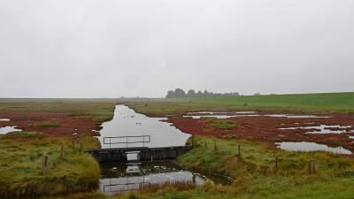 <i class='fa fa-user'></i>&nbsp;kooyammers&nbsp;|  Koudekerkse Inlaag&nbsp; <i class='fa fa-eye'>&nbsp;74</i> &nbsp;<i class='fa fa-thumbs-up'>&nbsp;1</i> &nbsp; <i class='fa fa-comment-o'>&nbsp;2</i>