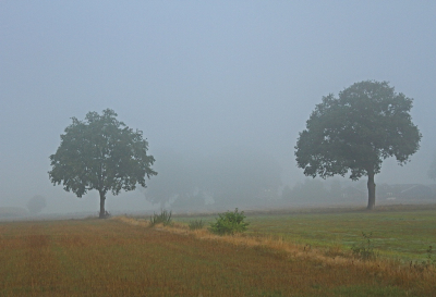 <i class='fa fa-user'></i>&nbsp;Cor&nbsp;|  Mistige Morgen&nbsp; <i class='fa fa-eye'>&nbsp;66</i> &nbsp;<i class='fa fa-thumbs-up'>&nbsp;1</i> &nbsp; <i class='fa fa-comment-o'>&nbsp;3</i>