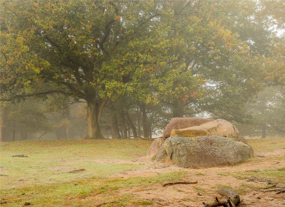 <i class='fa fa-user'></i>&nbsp;wimwes&nbsp;|  Hunebed D10&nbsp; <i class='fa fa-eye'>&nbsp;96</i> &nbsp; <i class='fa fa-comment-o'>&nbsp;4</i>