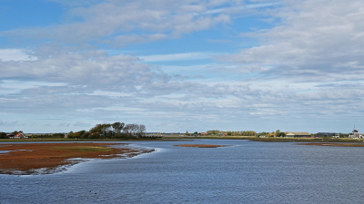 <i class='fa fa-user'></i>&nbsp;kooyammers&nbsp;|  Pruunje Zuid II&nbsp; <i class='fa fa-eye'>&nbsp;82</i> &nbsp;<i class='fa fa-thumbs-up'>&nbsp;2</i> &nbsp; <i class='fa fa-comment-o'>&nbsp;2</i>