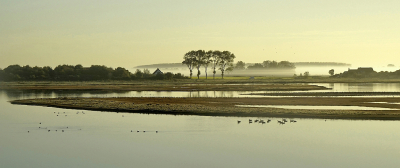 <i class='fa fa-user'></i>&nbsp;Nel R&nbsp;|  Grondmist&nbsp; <i class='fa fa-eye'>&nbsp;111</i> &nbsp;<i class='fa fa-thumbs-up'>&nbsp;15</i> &nbsp; <i class='fa fa-comment-o'>&nbsp;15</i>