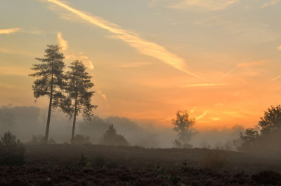<i class='fa fa-user'></i>&nbsp;mauritskoenen48&nbsp;|  Ochtendstemming in Den Treek&nbsp; <i class='fa fa-eye'>&nbsp;73</i> &nbsp;<i class='fa fa-thumbs-up'>&nbsp;3</i> &nbsp; <i class='fa fa-comment-o'>&nbsp;2</i>
