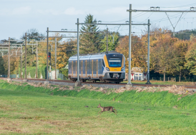 <i class='fa fa-user'></i>&nbsp;pietwil&nbsp;|  Ree&nbsp; <i class='fa fa-eye'>&nbsp;142</i> &nbsp;<i class='fa fa-thumbs-up'>&nbsp;2</i> &nbsp; <i class='fa fa-comment-o'>&nbsp;3</i>