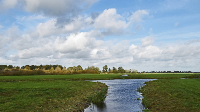 <i class='fa fa-user'></i>&nbsp;kooyammers&nbsp;|  Herfst in de Nespolder&nbsp; <i class='fa fa-eye'>&nbsp;63</i> &nbsp;<i class='fa fa-thumbs-up'>&nbsp;1</i> &nbsp; <i class='fa fa-comment-o'>&nbsp;5</i>