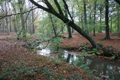 <i class='fa fa-user'></i>&nbsp;Paul Vandebroek&nbsp;|  Schuin is ook mooi&nbsp; <i class='fa fa-eye'>&nbsp;69</i> &nbsp; <i class='fa fa-comment-o'>&nbsp;2</i>