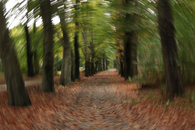 <i class='fa fa-user'></i>&nbsp;frbeuming&nbsp;|  Herfst in beweging&nbsp; <i class='fa fa-eye'>&nbsp;60</i> &nbsp; <i class='fa fa-comment-o'>&nbsp;2</i>