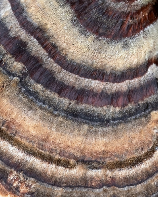 <i class='fa fa-user'></i>&nbsp;Johan van Gurp&nbsp;|  Gewoon Elfenbankje&nbsp; <i class='fa fa-eye'>&nbsp;65</i> &nbsp; <i class='fa fa-comment-o'>&nbsp;2</i>