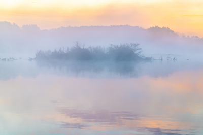 <i class='fa fa-user'></i>&nbsp;Loes Belovics&nbsp;|  Nevelige zonskopkomst&nbsp; <i class='fa fa-eye'>&nbsp;86</i> &nbsp;<i class='fa fa-thumbs-up'>&nbsp;1</i> &nbsp; <i class='fa fa-comment-o'>&nbsp;2</i>