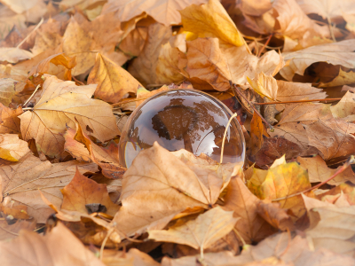 <i class='fa fa-user'></i>&nbsp;susan meijnders&nbsp;|  Herfstig&nbsp; <i class='fa fa-eye'>&nbsp;116</i> &nbsp; <i class='fa fa-comment-o'>&nbsp;9</i>