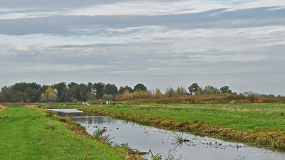 <i class='fa fa-user'></i>&nbsp;kooyammers&nbsp;|  Herfst of Zomer&nbsp; <i class='fa fa-eye'>&nbsp;65</i> &nbsp;<i class='fa fa-thumbs-up'>&nbsp;2</i> &nbsp; <i class='fa fa-comment-o'>&nbsp;4</i>