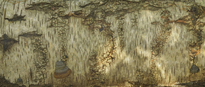 <i class='fa fa-user'></i>&nbsp;Nel R&nbsp;|  Ruwe Berk&nbsp; <i class='fa fa-eye'>&nbsp;86</i> &nbsp;<i class='fa fa-thumbs-up'>&nbsp;5</i> &nbsp; <i class='fa fa-comment-o'>&nbsp;9</i>