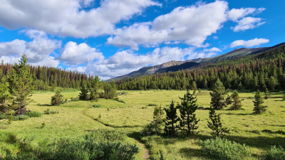 <i class='fa fa-user'></i>&nbsp;Vincent Rijnbende&nbsp;|  Nationaal Park Jasper&nbsp; <i class='fa fa-eye'>&nbsp;67</i> &nbsp;<i class='fa fa-thumbs-up'>&nbsp;1</i> &nbsp; <i class='fa fa-comment-o'>&nbsp;1</i>