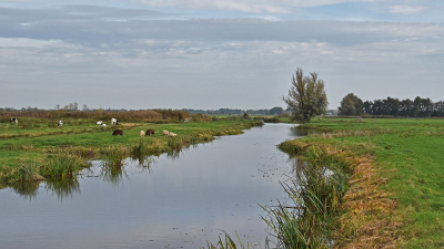 <i class='fa fa-user'></i>&nbsp;kooyammers&nbsp;|  Nieuwe Wetering&nbsp; <i class='fa fa-eye'>&nbsp;71</i> &nbsp;<i class='fa fa-thumbs-up'>&nbsp;4</i> &nbsp; <i class='fa fa-comment-o'>&nbsp;3</i>