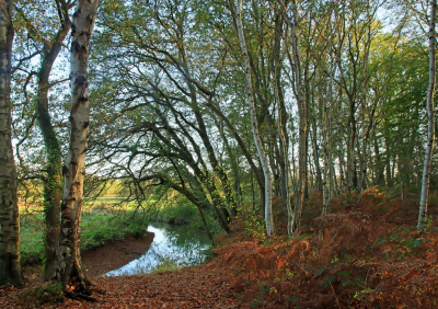 <i class='fa fa-user'></i>&nbsp;Tineke Strijbosch&nbsp;|  Doorkijkje Drentsche Aa&nbsp; <i class='fa fa-eye'>&nbsp;73</i> &nbsp;<i class='fa fa-thumbs-up'>&nbsp;4</i> &nbsp; <i class='fa fa-comment-o'>&nbsp;6</i>