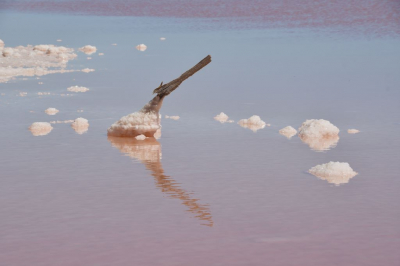 <i class='fa fa-user'></i>&nbsp;mauritskoenen48&nbsp;|  Stilleven zoutpan in de Camarque FR&nbsp; <i class='fa fa-eye'>&nbsp;63</i> &nbsp; <i class='fa fa-comment-o'>&nbsp;2</i>