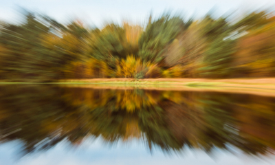 <i class='fa fa-user'></i>&nbsp;Truus Aletta Maan&nbsp;|  Herfstbos&nbsp; <i class='fa fa-eye'>&nbsp;77</i> &nbsp;<i class='fa fa-thumbs-up'>&nbsp;1</i> &nbsp; <i class='fa fa-comment-o'>&nbsp;4</i>