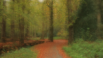 <i class='fa fa-user'></i>&nbsp;Tineke Strijbosch&nbsp;|  Asserbos&nbsp; <i class='fa fa-eye'>&nbsp;95</i> &nbsp;<i class='fa fa-thumbs-up'>&nbsp;5</i> &nbsp; <i class='fa fa-comment-o'>&nbsp;7</i>