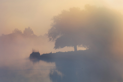 <i class='fa fa-user'></i>&nbsp;kiran&nbsp;|  Zonopkomst in de polder&nbsp; <i class='fa fa-eye'>&nbsp;100</i> &nbsp;<i class='fa fa-thumbs-up'>&nbsp;4</i> &nbsp; <i class='fa fa-comment-o'>&nbsp;11</i>