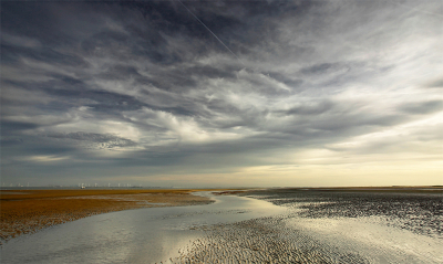 <i class='fa fa-user'></i>&nbsp;Pieter  LJ&nbsp;|  Geultje op strand&nbsp; <i class='fa fa-eye'>&nbsp;92</i> &nbsp;<i class='fa fa-thumbs-up'>&nbsp;5</i> &nbsp; <i class='fa fa-comment-o'>&nbsp;3</i>