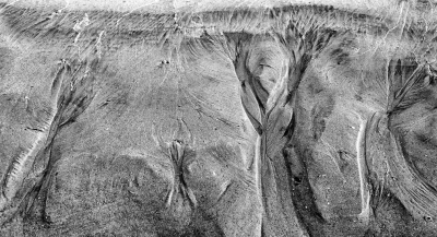 <i class='fa fa-user'></i>&nbsp;nelappelmelk&nbsp;|  Strandbomen&nbsp; <i class='fa fa-eye'>&nbsp;98</i> &nbsp;<i class='fa fa-thumbs-up'>&nbsp;1</i> &nbsp; <i class='fa fa-comment-o'>&nbsp;5</i>