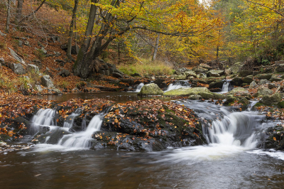 <i class='fa fa-user'></i>&nbsp;Luc Meert&nbsp;|  Herfst&nbsp; <i class='fa fa-eye'>&nbsp;120</i> &nbsp;<i class='fa fa-thumbs-up'>&nbsp;3</i> &nbsp; <i class='fa fa-comment-o'>&nbsp;3</i>