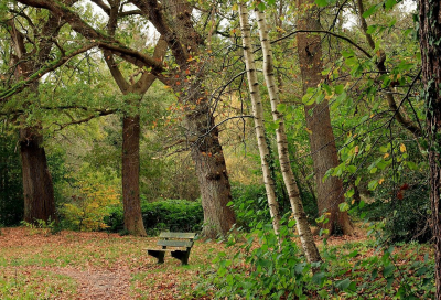 <i class='fa fa-user'></i>&nbsp;Tineke Strijbosch&nbsp;|  Uitnodigend plekje&nbsp; <i class='fa fa-eye'>&nbsp;63</i> &nbsp;<i class='fa fa-thumbs-up'>&nbsp;1</i> &nbsp; <i class='fa fa-comment-o'>&nbsp;6</i>