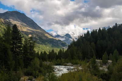 <i class='fa fa-user'></i>&nbsp;Willem Verhagen&nbsp;|  Diavolezza pas&nbsp; <i class='fa fa-eye'>&nbsp;84</i> &nbsp;<i class='fa fa-thumbs-up'>&nbsp;2</i> &nbsp; <i class='fa fa-comment-o'>&nbsp;3</i>