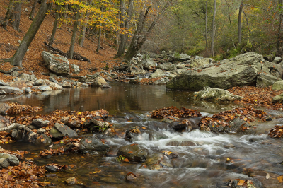 <i class='fa fa-user'></i>&nbsp;Luc Meert&nbsp;|  Herfst&nbsp; <i class='fa fa-eye'>&nbsp;88</i> &nbsp;<i class='fa fa-thumbs-up'>&nbsp;3</i> &nbsp; <i class='fa fa-comment-o'>&nbsp;5</i>