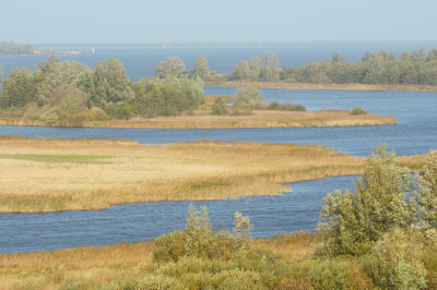 <i class='fa fa-user'></i>&nbsp;Hendrik van Kampen&nbsp;|  Senneroog en Blikplaatgat&nbsp; <i class='fa fa-eye'>&nbsp;77</i> &nbsp;<i class='fa fa-thumbs-up'>&nbsp;1</i> &nbsp; <i class='fa fa-comment-o'>&nbsp;7</i>