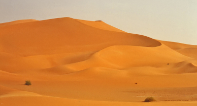 <i class='fa fa-user'></i>&nbsp;Eef Kieft&nbsp;|  Zand, zand en nog eens zand&nbsp; <i class='fa fa-eye'>&nbsp;106</i> &nbsp;<i class='fa fa-thumbs-up'>&nbsp;5</i> &nbsp; <i class='fa fa-comment-o'>&nbsp;10</i>