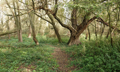 <i class='fa fa-user'></i>&nbsp;nelappelmelk&nbsp;|  Rommelbosje&nbsp; <i class='fa fa-eye'>&nbsp;74</i> &nbsp; <i class='fa fa-comment-o'>&nbsp;1</i>