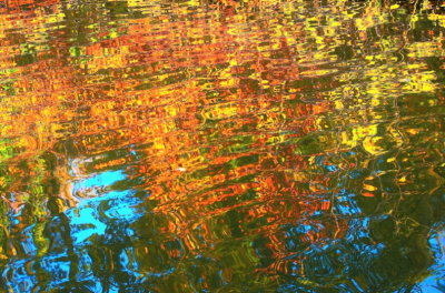 <i class='fa fa-user'></i>&nbsp;hesterb&nbsp;|  Beuk&nbsp; <i class='fa fa-eye'>&nbsp;75</i> &nbsp; <i class='fa fa-comment-o'>&nbsp;2</i>