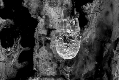 <i class='fa fa-user'></i>&nbsp;liesbeth van vliet&nbsp;|  Hars&nbsp; <i class='fa fa-eye'>&nbsp;89</i> &nbsp;<i class='fa fa-thumbs-up'>&nbsp;4</i> &nbsp; <i class='fa fa-comment-o'>&nbsp;5</i>