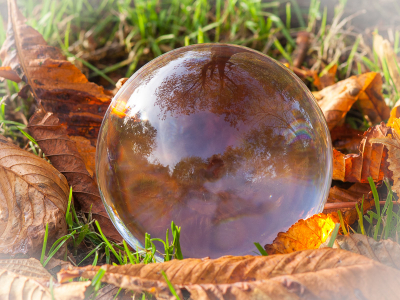 <i class='fa fa-user'></i>&nbsp;susan meijnders&nbsp;|  Kastanjeboom&nbsp; <i class='fa fa-eye'>&nbsp;175</i> &nbsp;<i class='fa fa-thumbs-up'>&nbsp;1</i> &nbsp; <i class='fa fa-comment-o'>&nbsp;12</i>